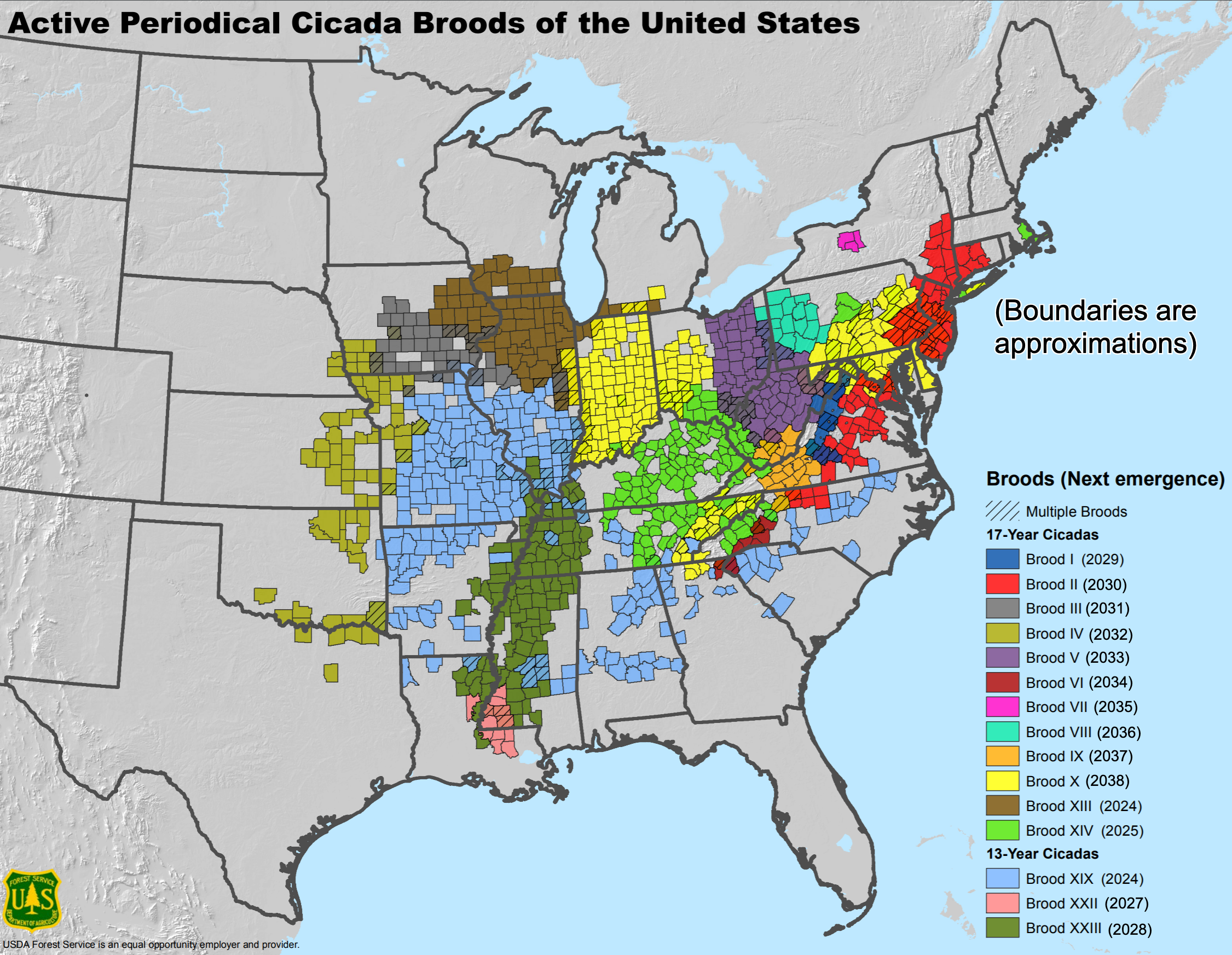 Map of periodical cicada broods in the Eastern United States